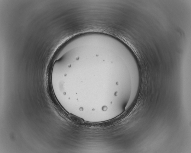 X0000111590584200908271011