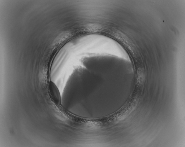 X0000111590585200908271011