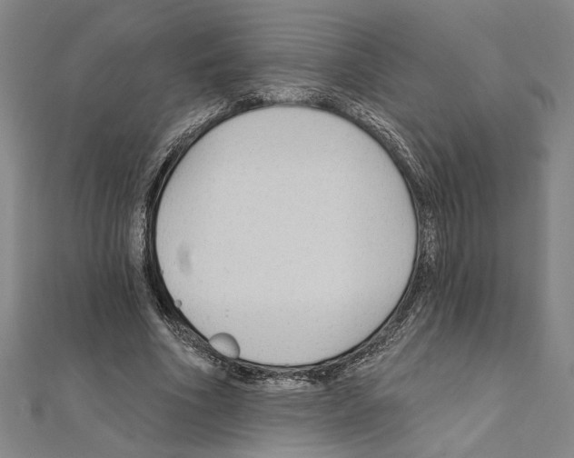 X0000111590586200908271011