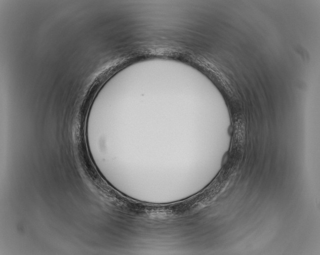 X0000111590587200908271011