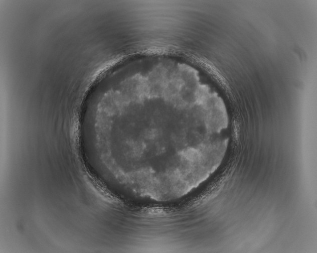 X0000111590588200908271011