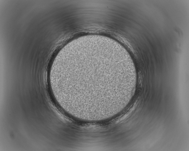 X0000111590589200908271011