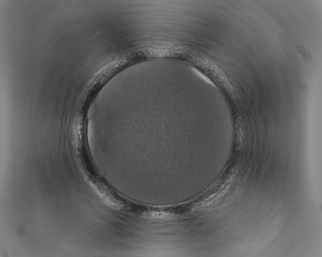 X0000111590590200908271011