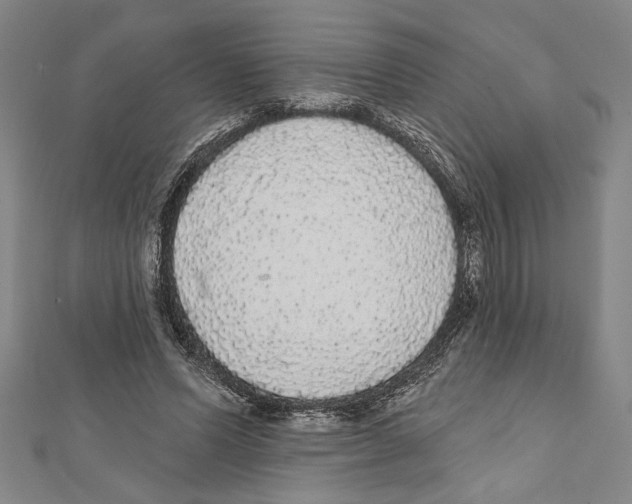X0000111590591200908271011