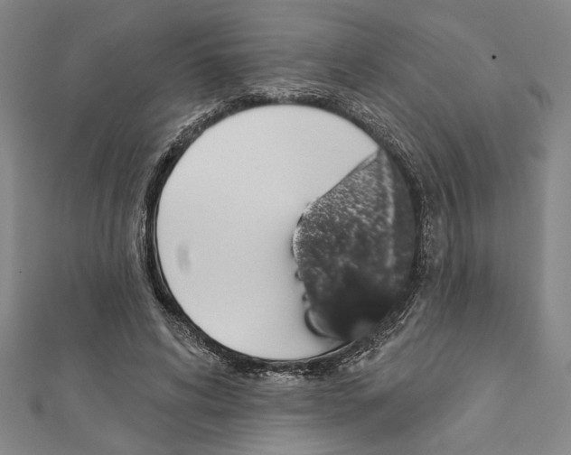 X0000111590592200908271011