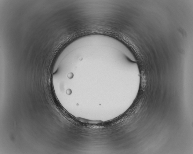 X0000111590593200908271011