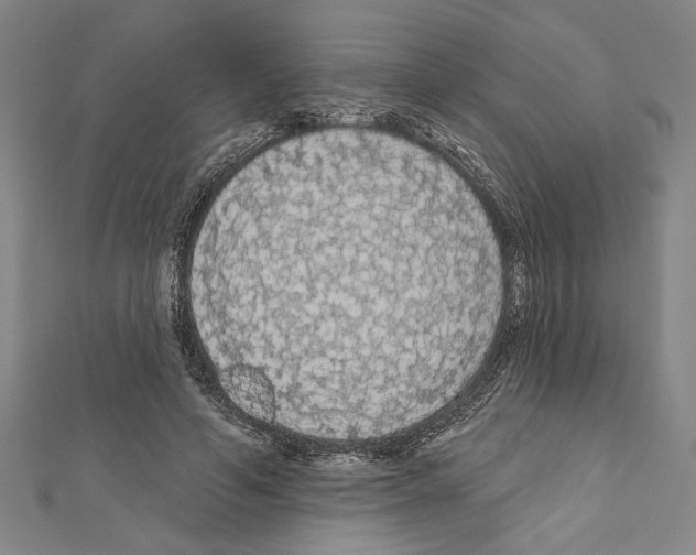 X0000111590594200908271011