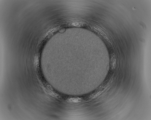X0000111590595200908271011