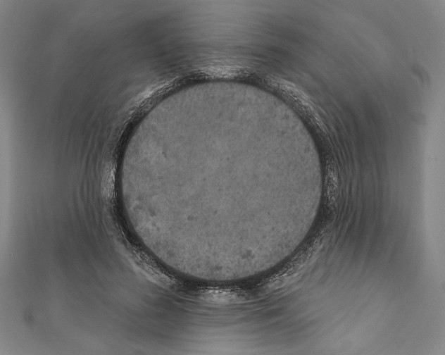 X0000111590596200908271011