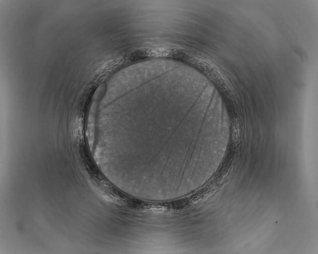 X0000111590598200908271011