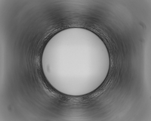 X0000111590599200908271011