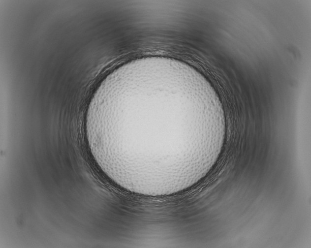 X0000111590600200908271011