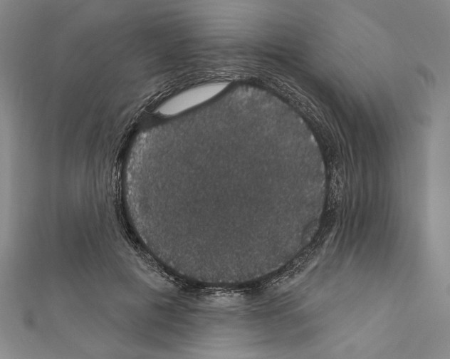 X0000111590601200908271011