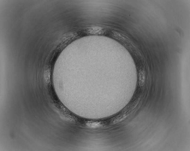 X0000111590602200908271011