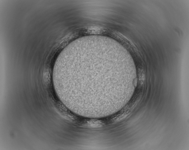X0000111590603200908271011