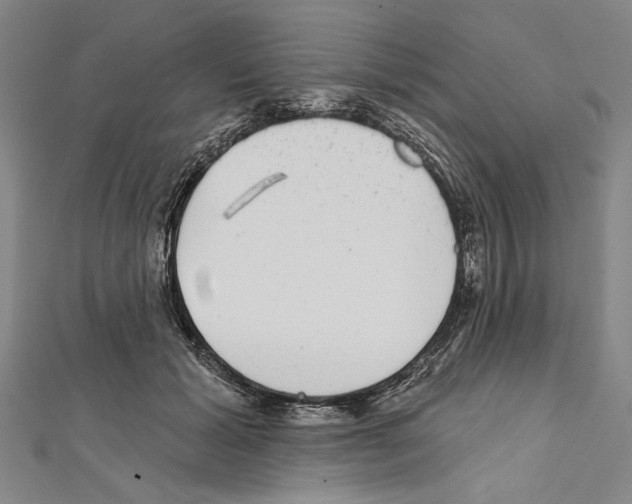 X0000111590605200908271011