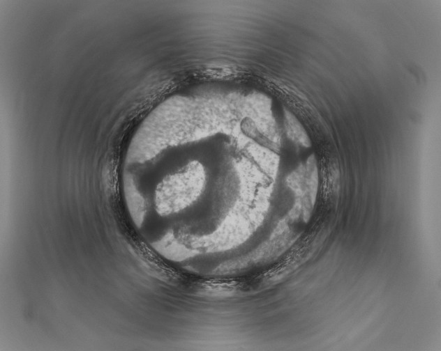 X0000111590606200908271011
