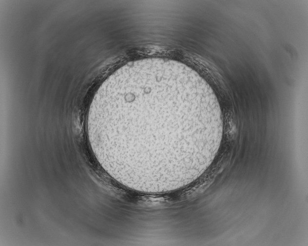 X0000111590607200908271011