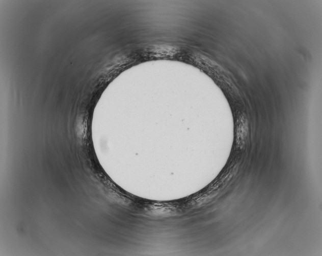 X0000111590608200908271011