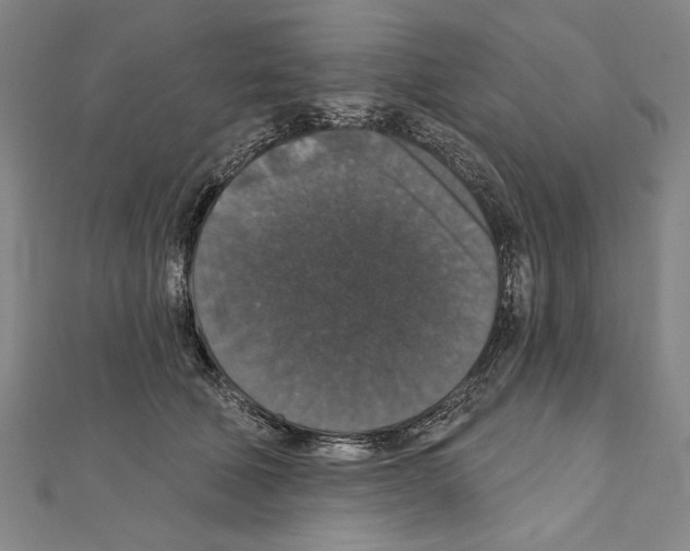 X0000111590610200908271010