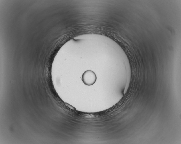 X0000111590611200908271010