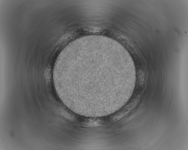 X0000111590612200908271010