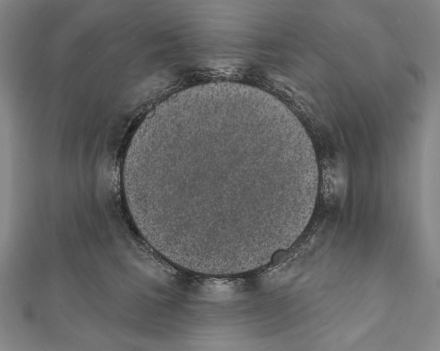 X0000111590613200908271010