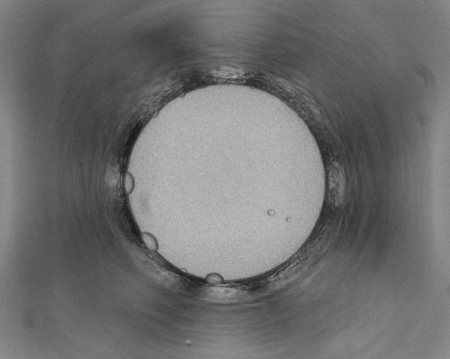 X0000111590614200908271010