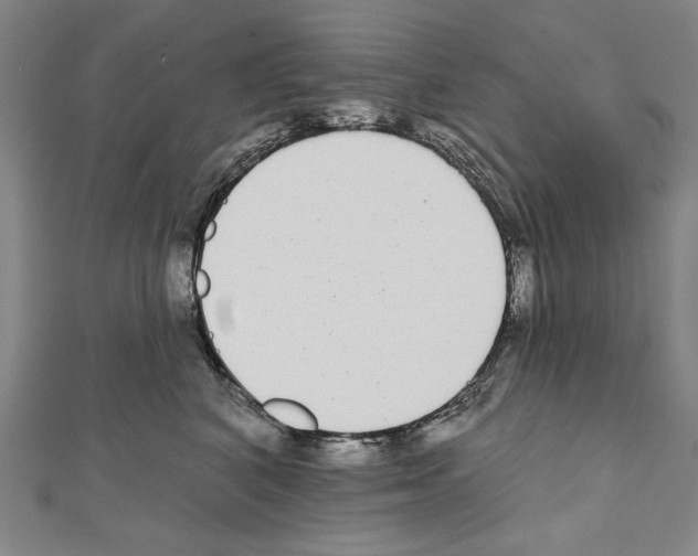X0000111590616200908271010