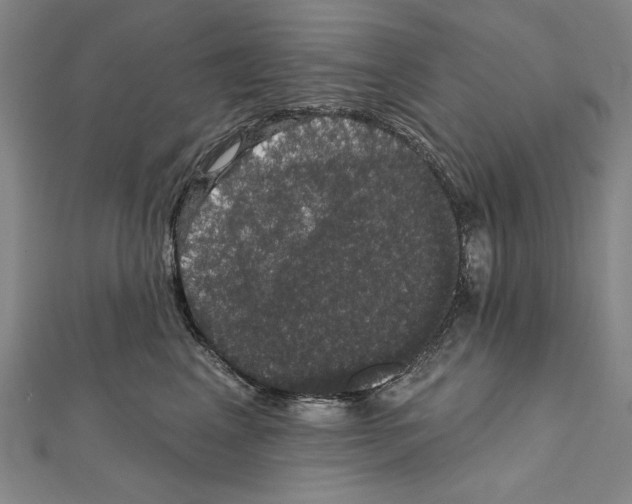 X0000111590617200908271010