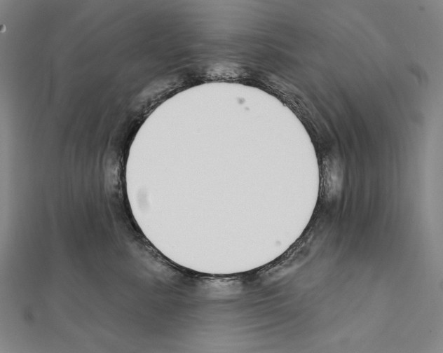 X0000111590619200908271010