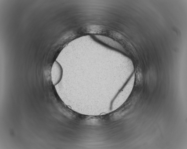 X0000111590620200908271010