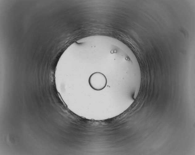 X0000111590621200908271010