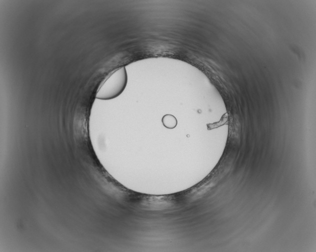 X0000111590622200908271010