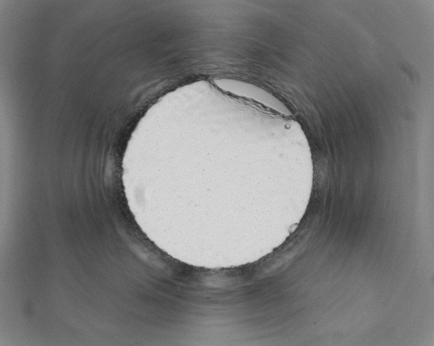 X0000111590623200908271010