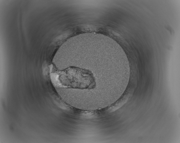 X0000111590624200908271010