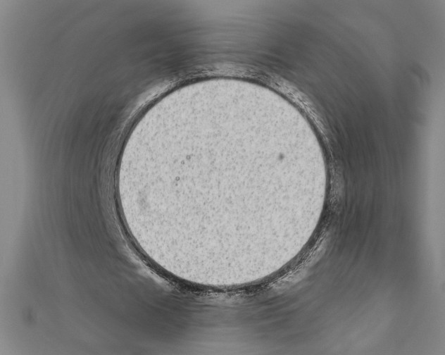 X0000111590625200908271010