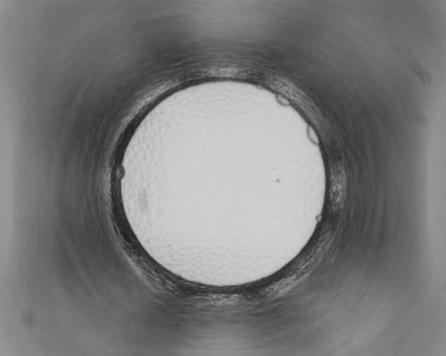 X0000111590626200908271010