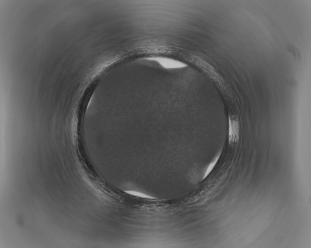 X0000111590627200908271010