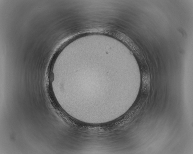 X0000111590628200908271010