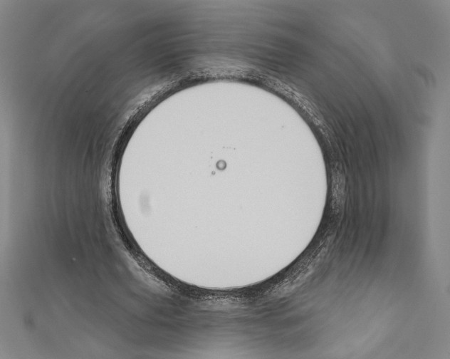 X0000111590629200908271010