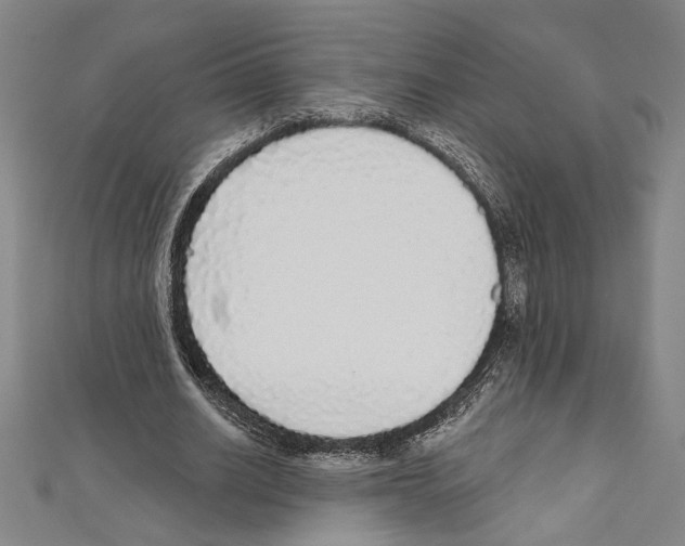 X0000111590630200908271010