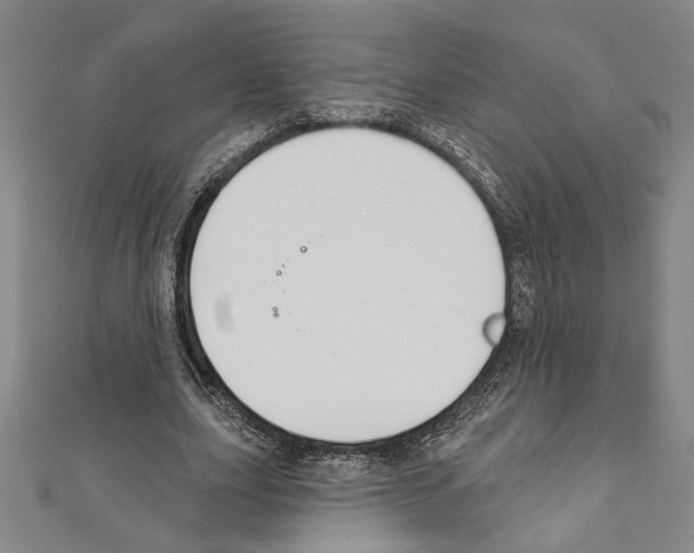 X0000111590631200908271010