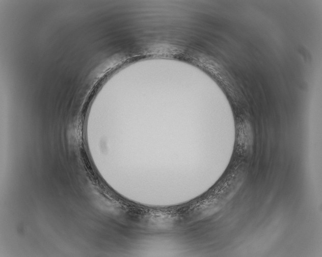 X0000111590632200908271010