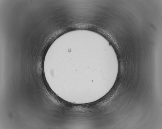 X0000111590633200908271010