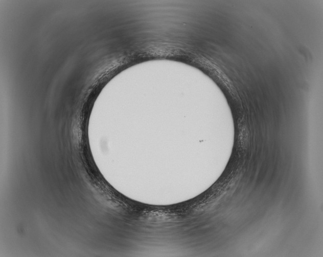 X0000111590635200908271010
