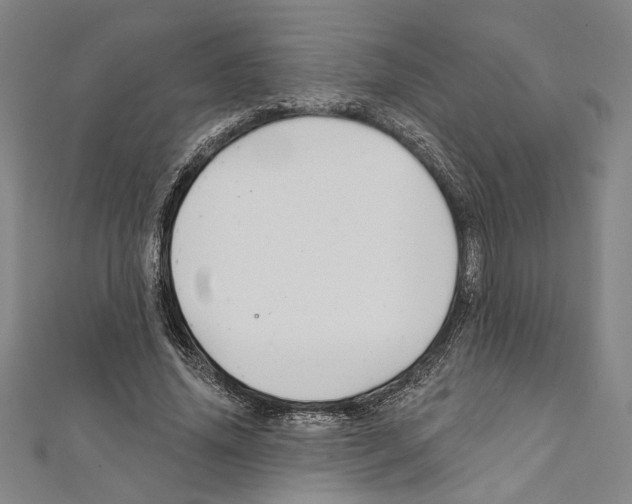 X0000111590636200908271010