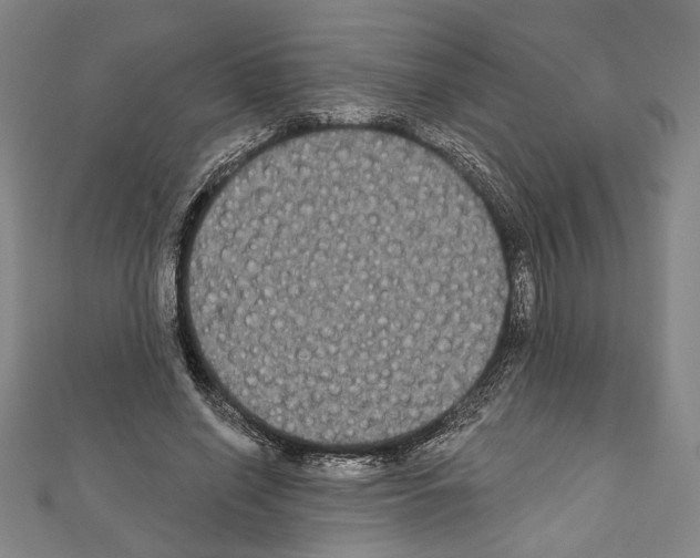 X0000111590638200908271010