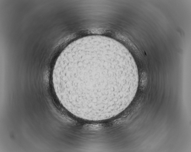 X0000111590639200908271010