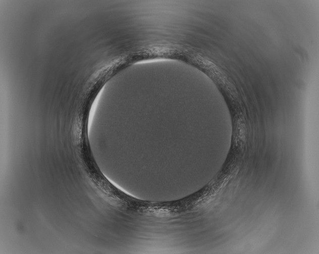 X0000111590640200908271010